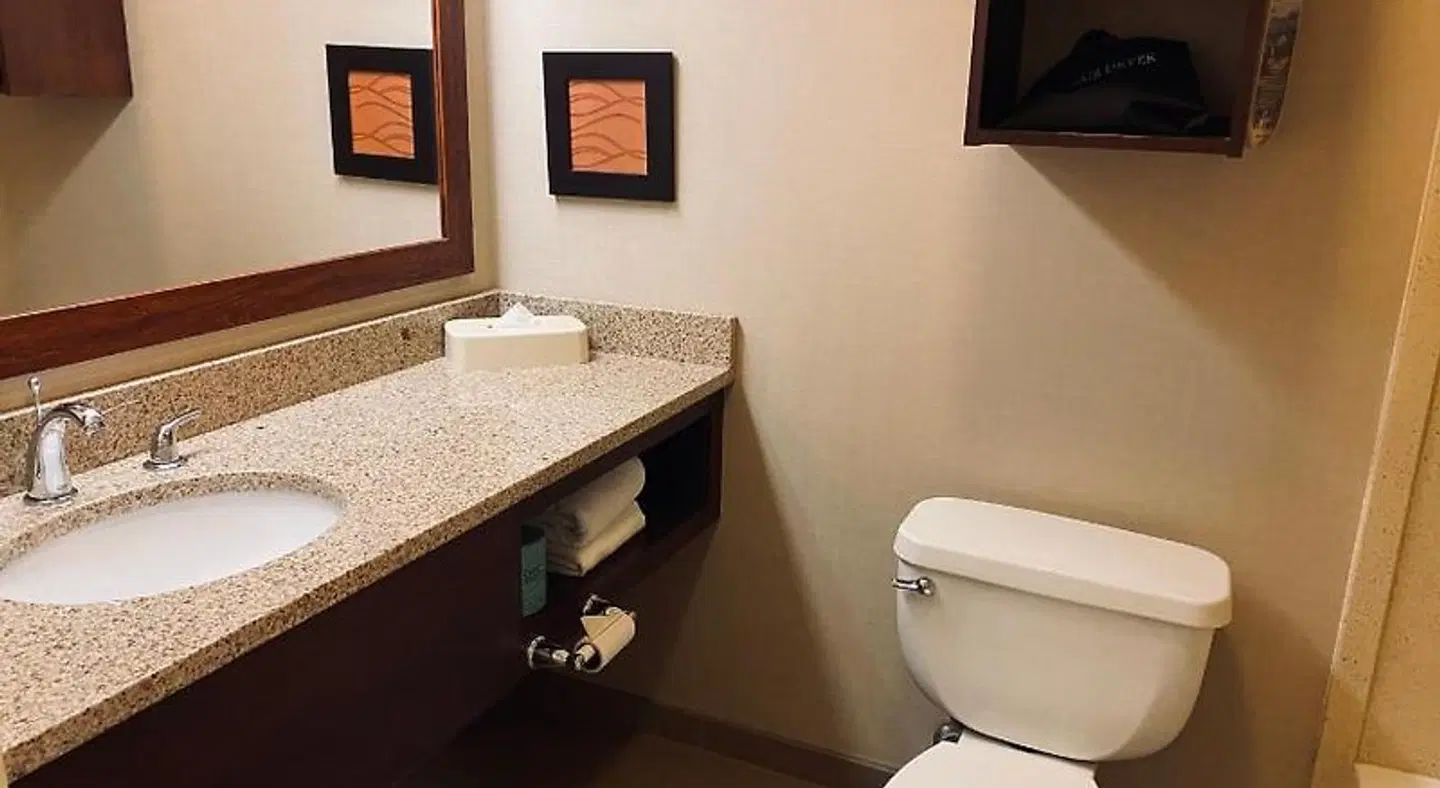 Comfort Inn & Suites Sturbridge-Brimfield Badezimmer