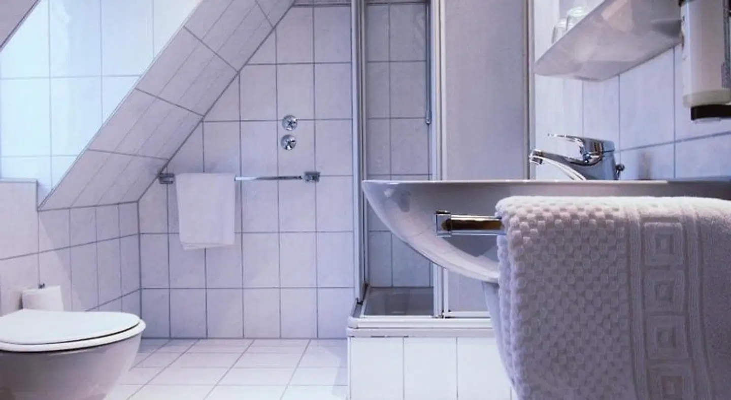 Roter Löwe Badezimmer