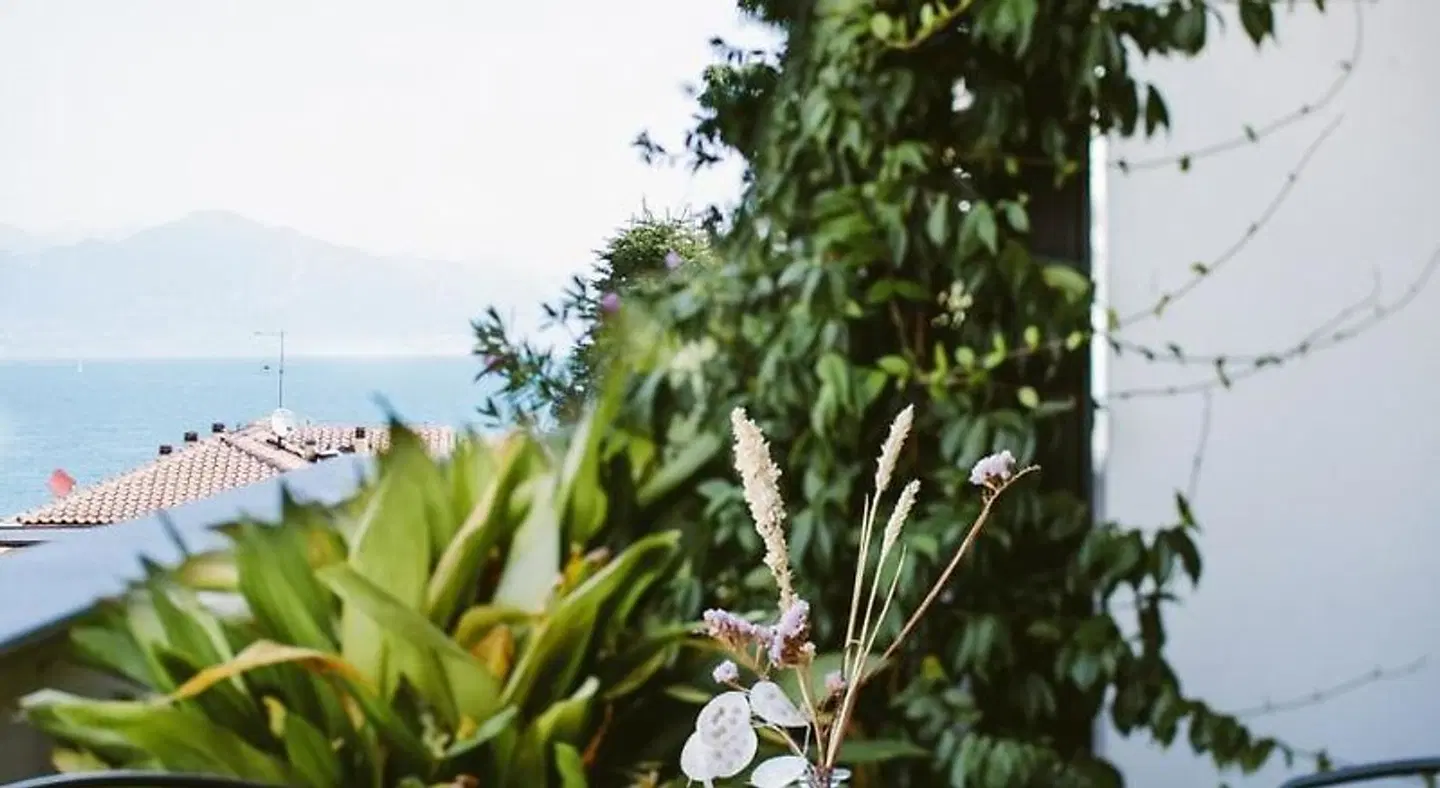 Piccola Vela Garten