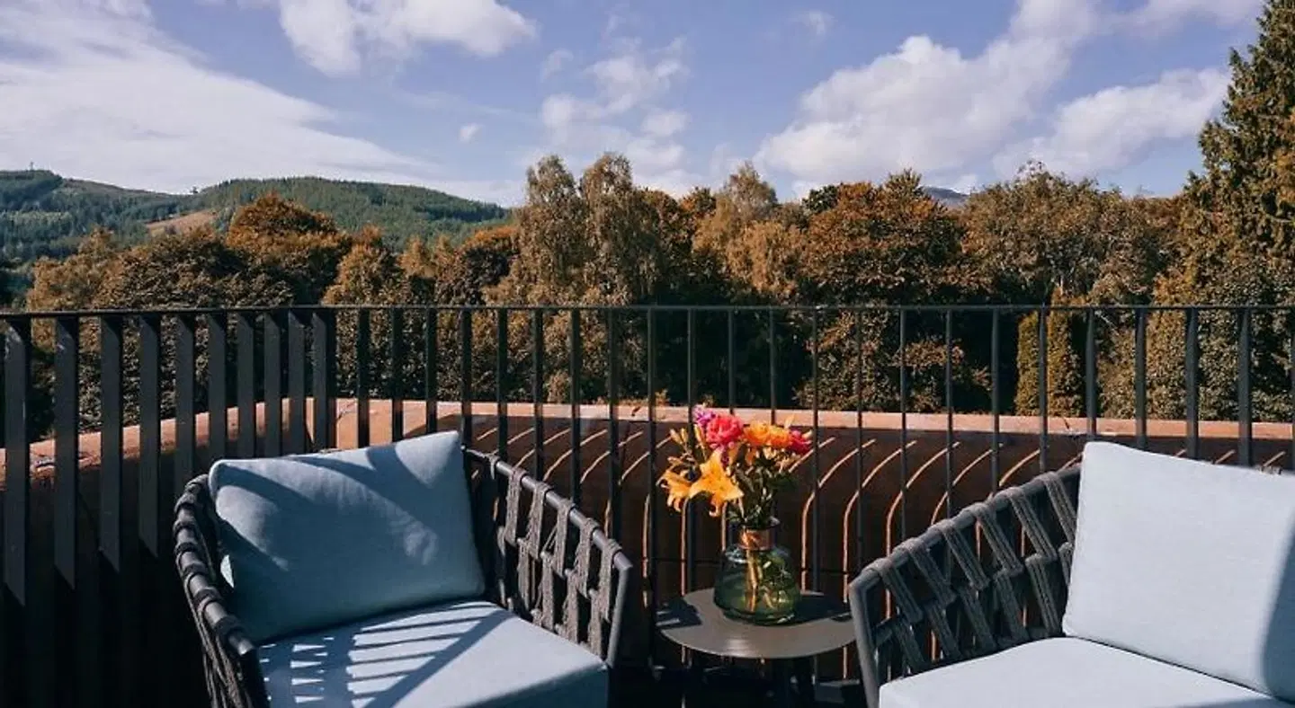 Pine Trees Terrasse
