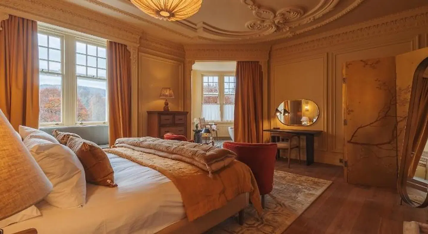Pine Trees ROOM_EXAMPLE
