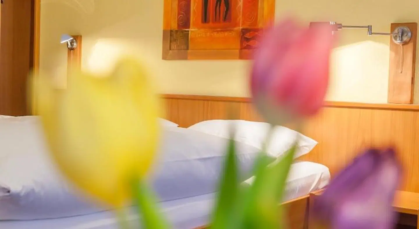 Hotel Restaurant Jägerhof ROOM_EXAMPLE