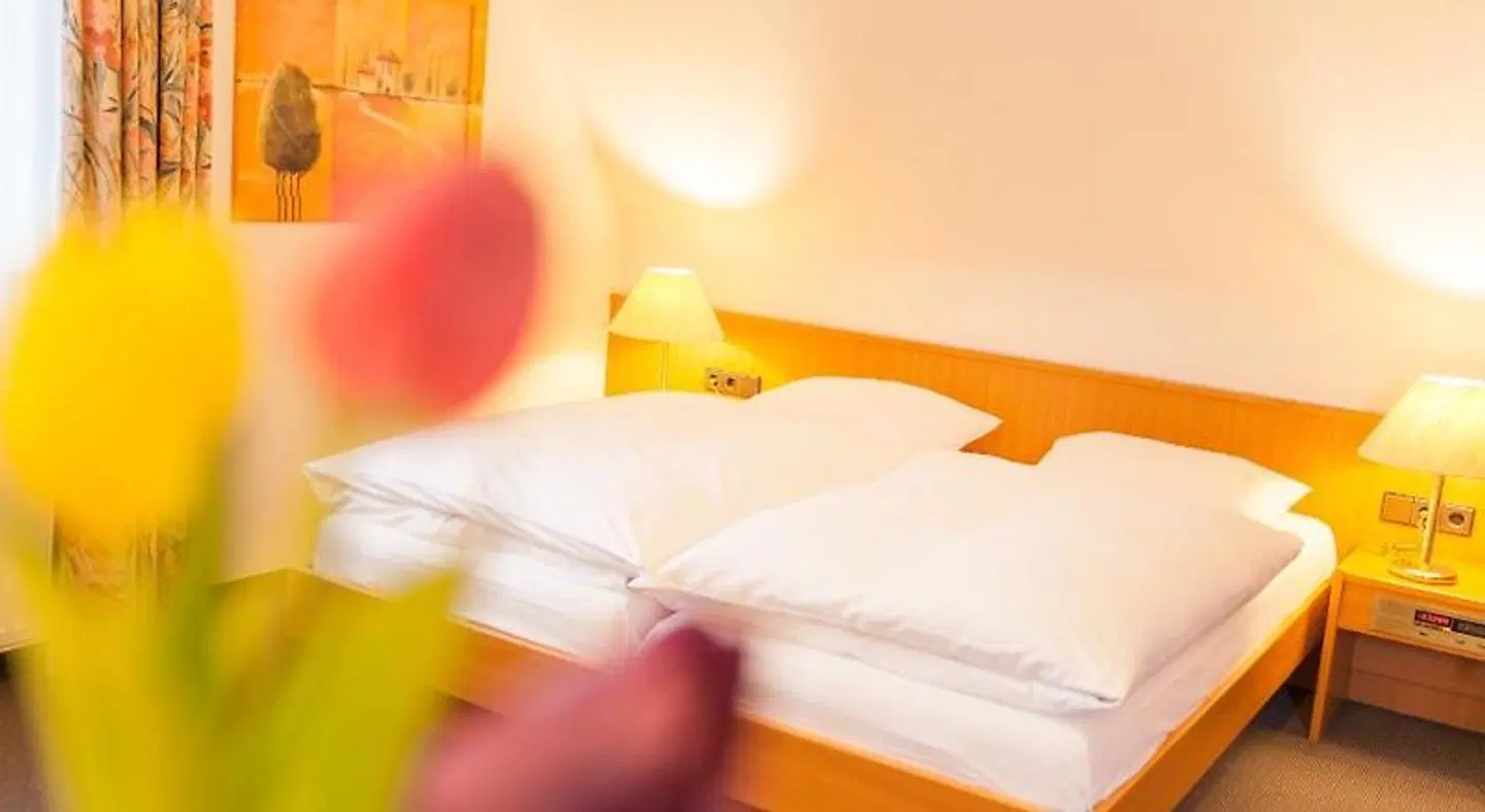 Hotel Restaurant Jägerhof ROOM_EXAMPLE