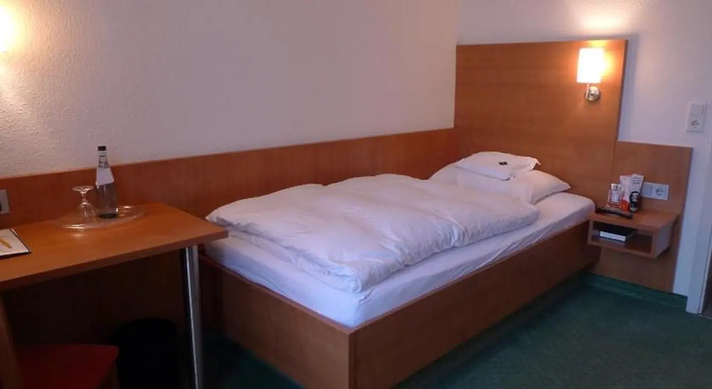 Hotel-Restaurant Roter Ochsen ROOM_EXAMPLE