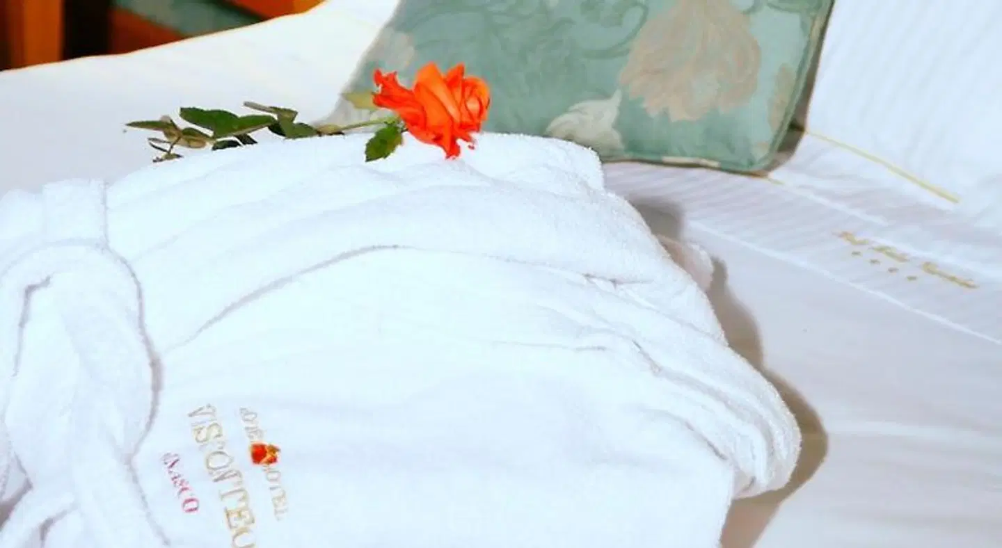 Motel Visconteo ROOM_EXAMPLE