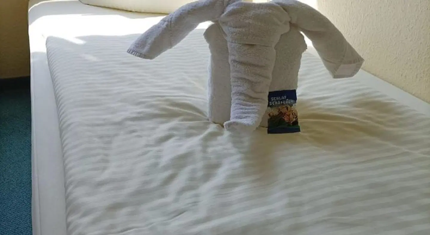 Hotel Alte Klavierfabrik Meißen Tiere