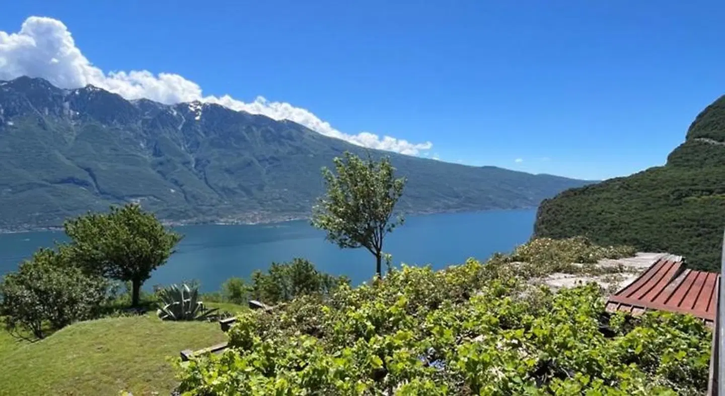 Villa Selene LANDSCAPE