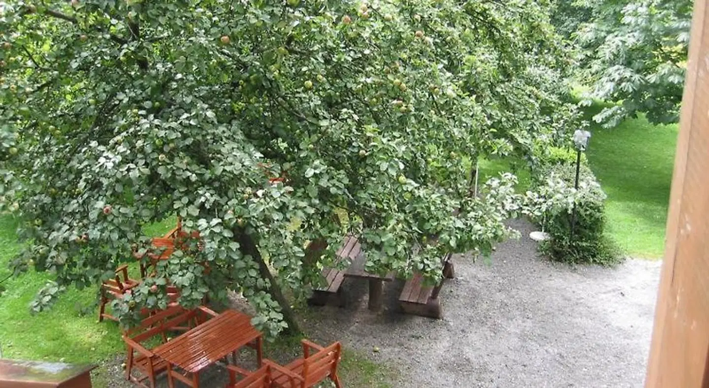 Waldpension Jägerstüberl Garten