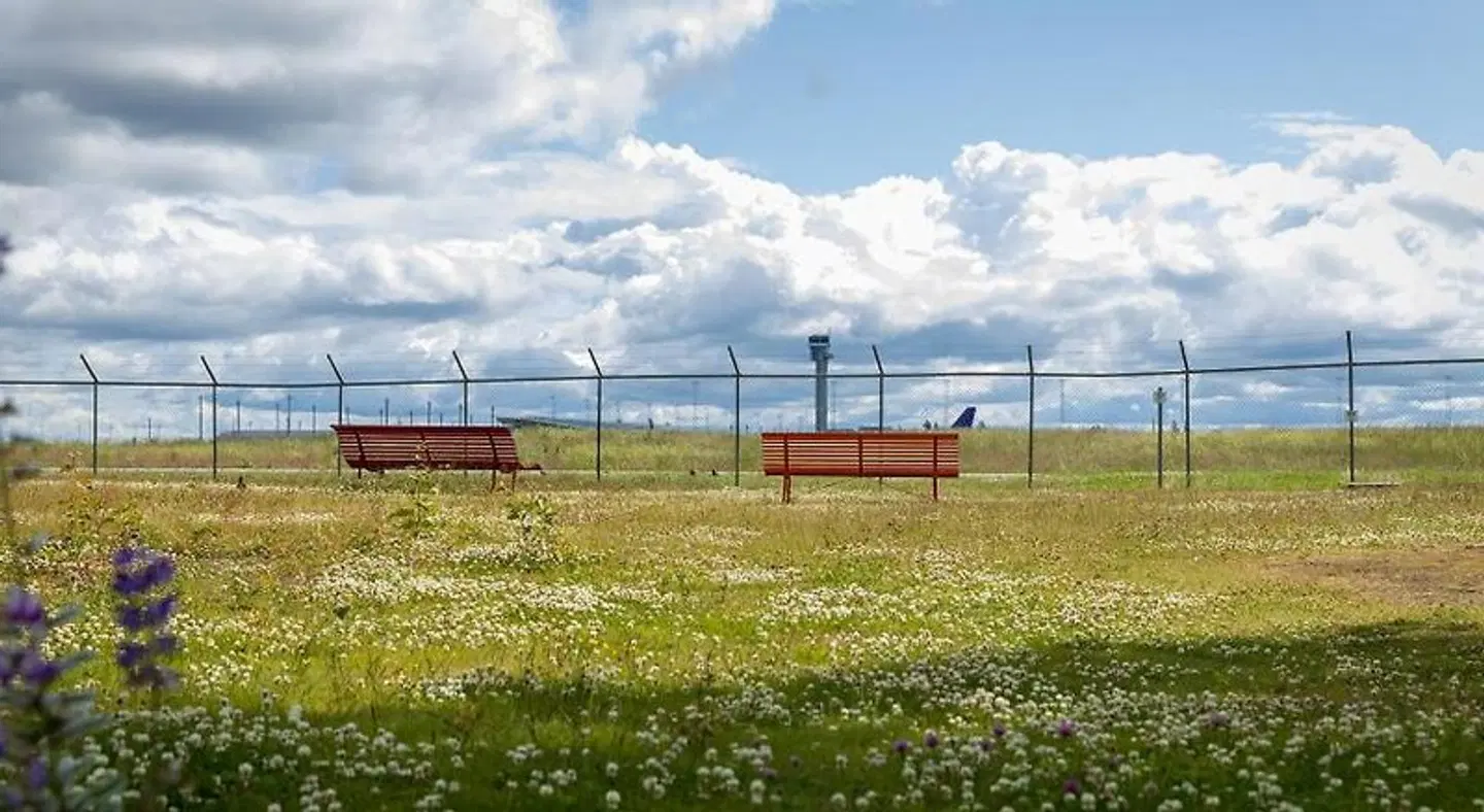 Comfort Hotel RunWay LANDSCAPE