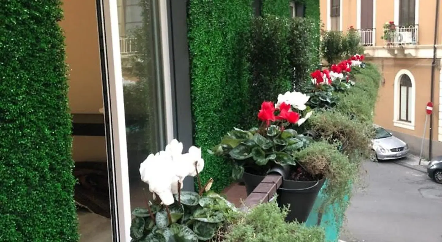 4Suite Garten