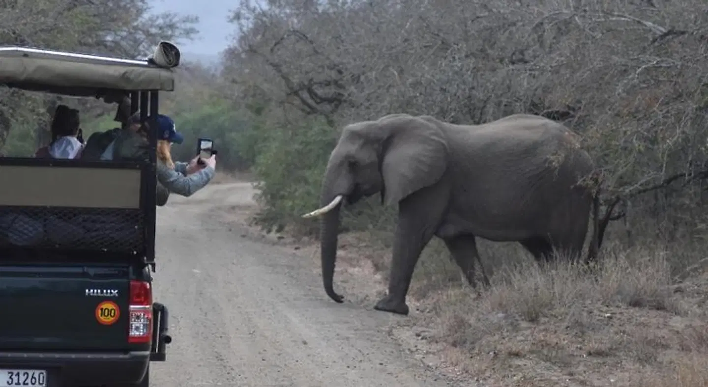 The Baobab Bush Lodge Tiere