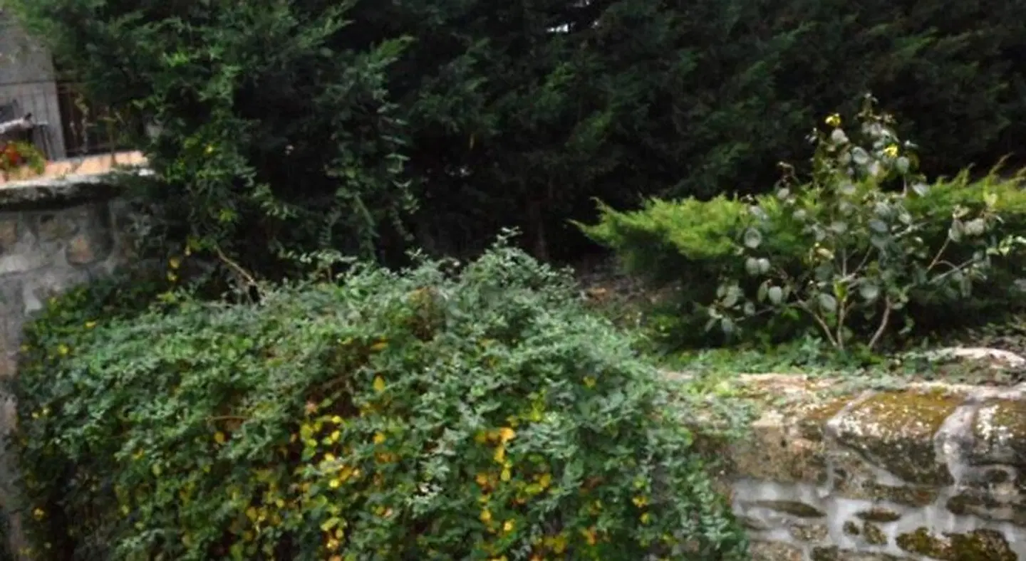 Quinta do Olival LANDSCAPE