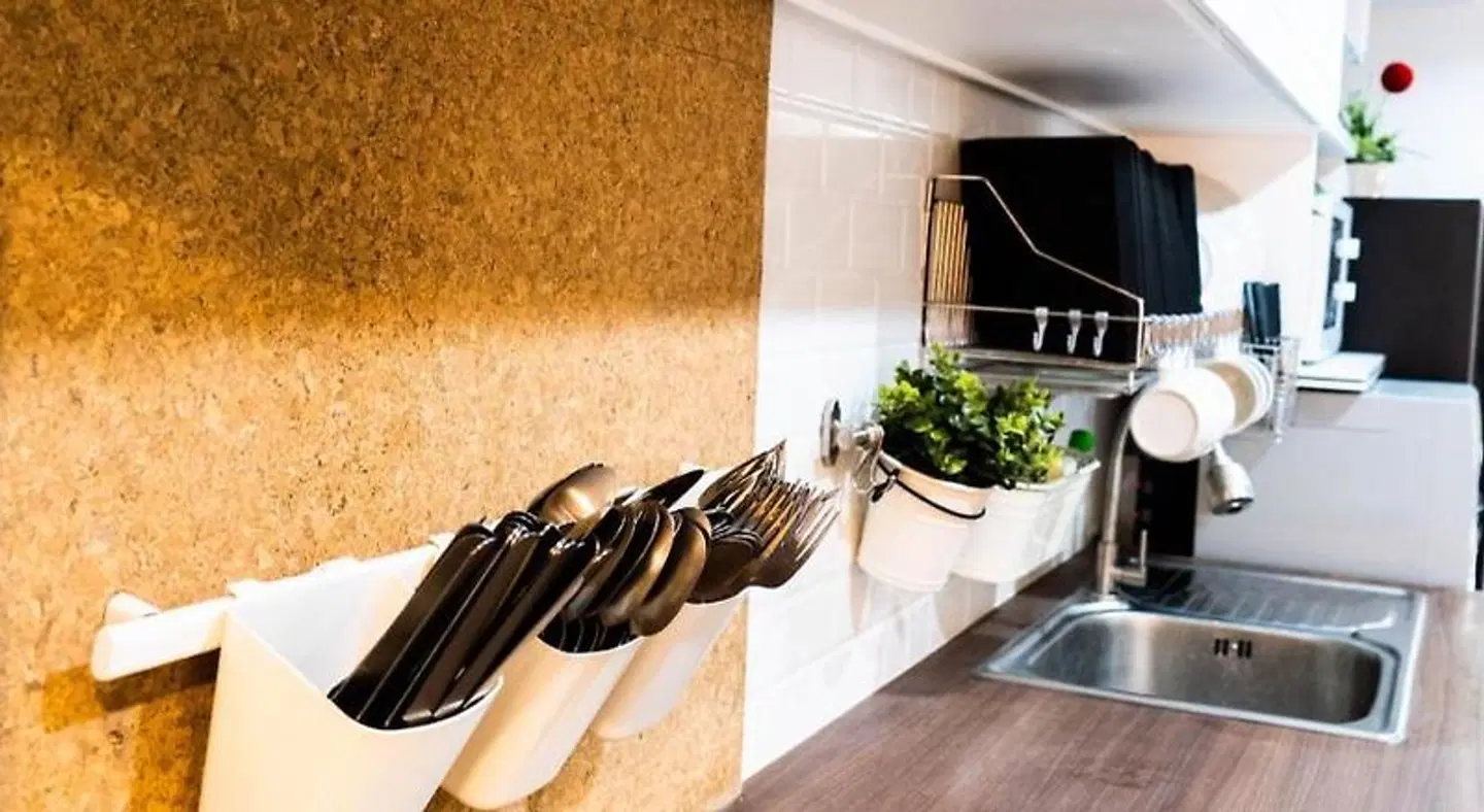 The LOL Elephant Hostel Tiere