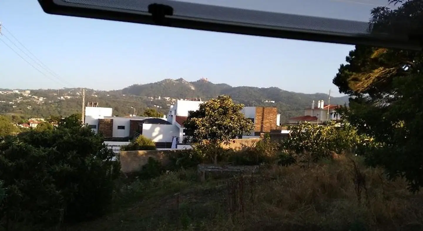 Galo Preto - Urban Agriculture - Healthy Food EXTERIOR