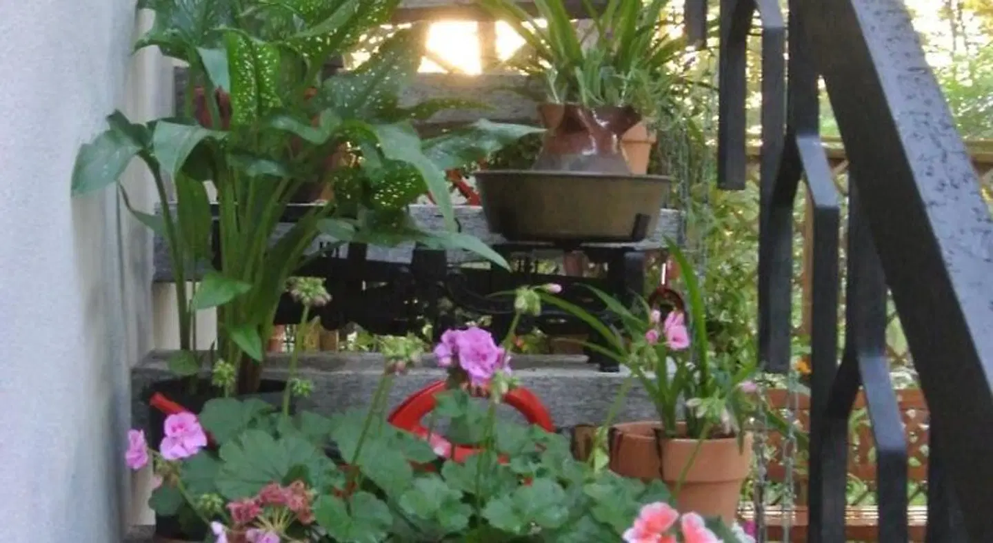 Campagnoli Garten