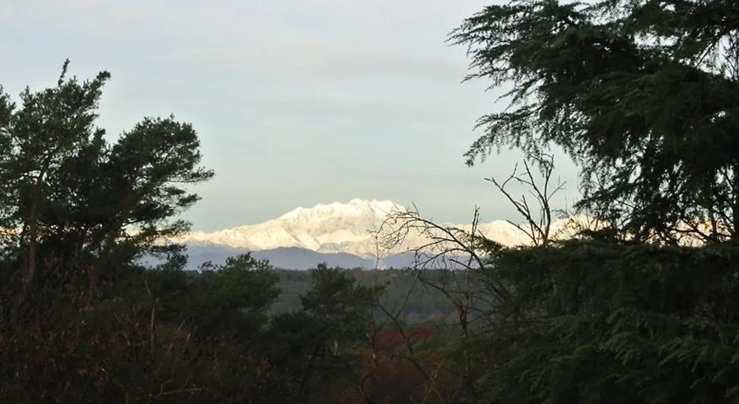 Campagnoli LANDSCAPE