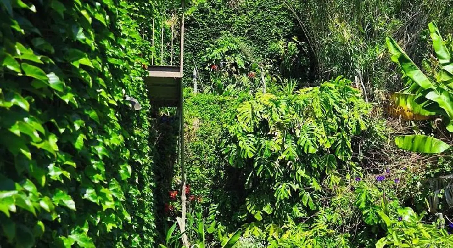 Les Terrasses Suites Garten