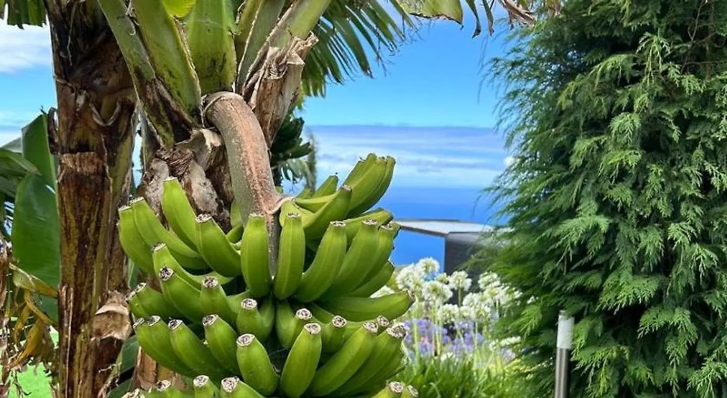 Calheta Glamping Pods Garten