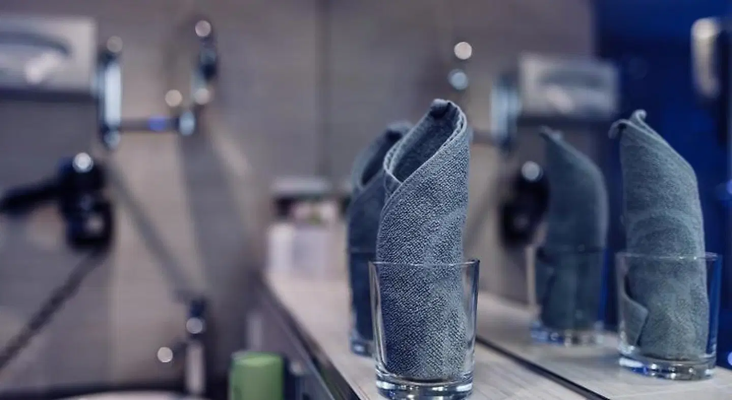 Feriengut Ellmauhof Tiere