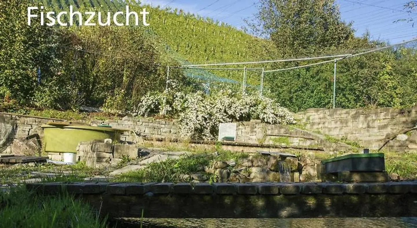 Kartause Ittingen LANDSCAPE