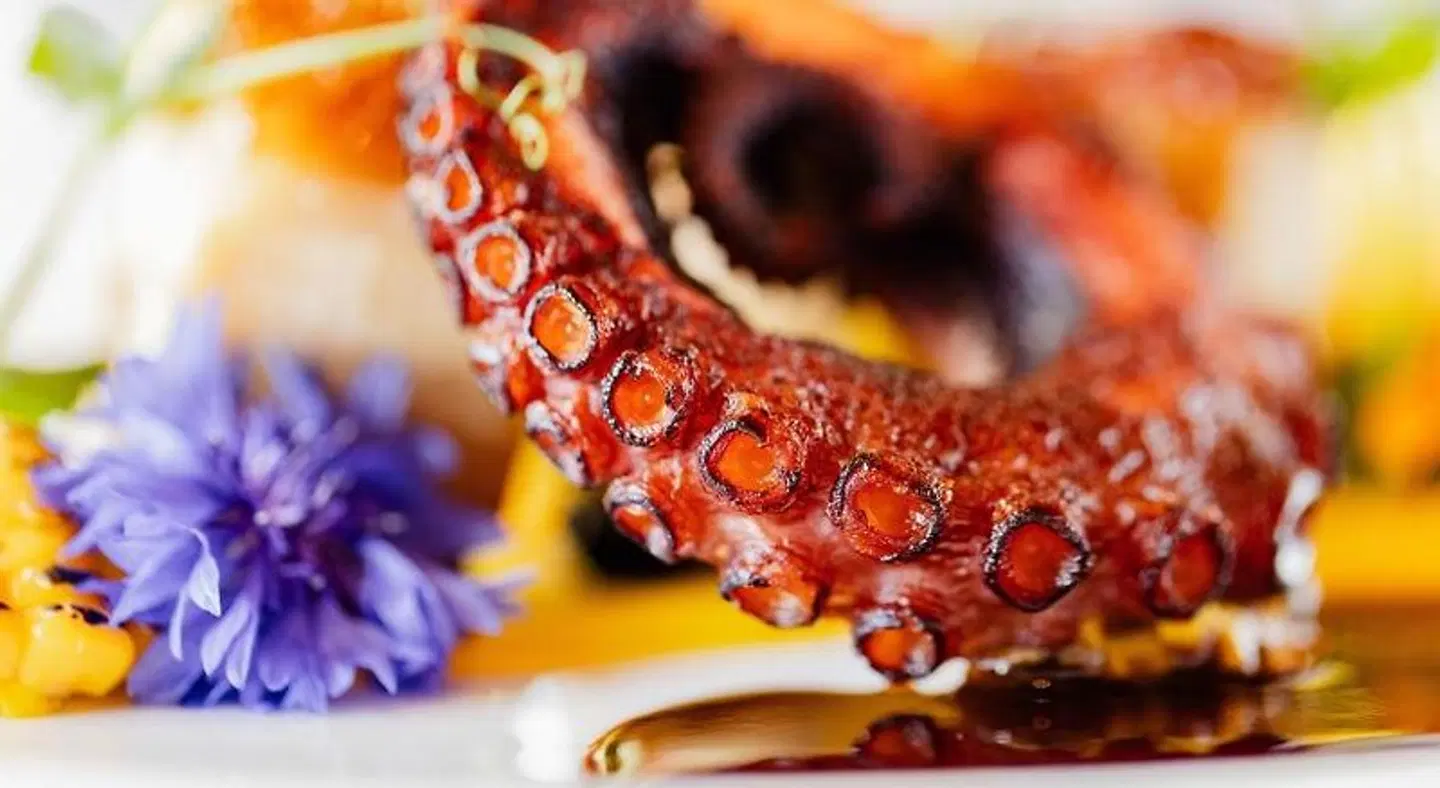 CARALEON Hotel Restaurant Tiere