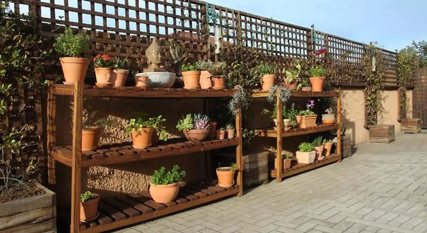 Treetops Guesthouse Aussenansicht