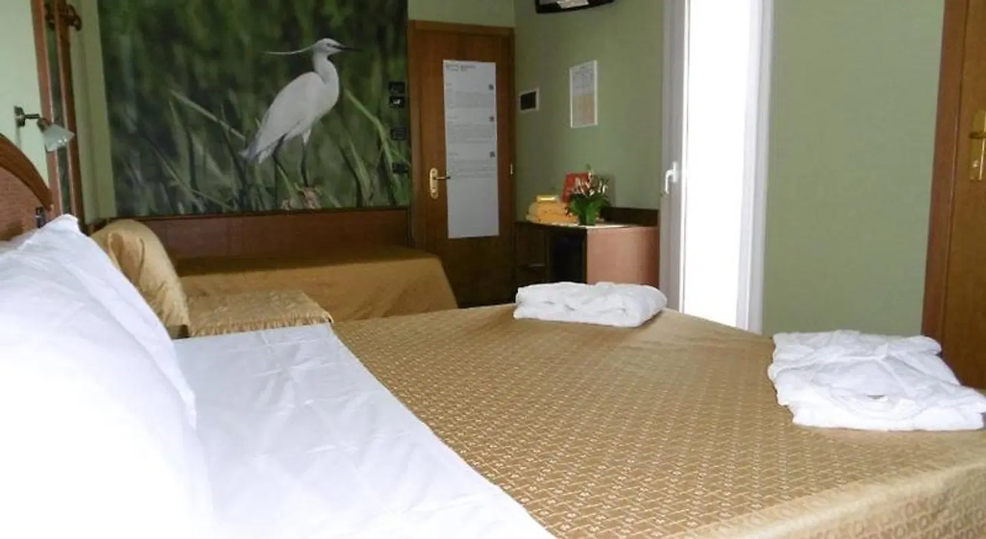 Hotel Ambassador ROOM_EXAMPLE