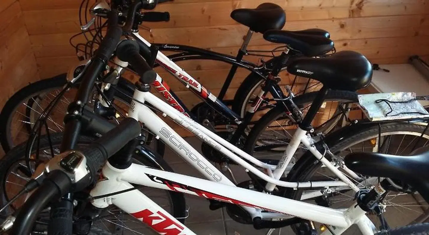 Erler SPORTS_AND_LEISURE