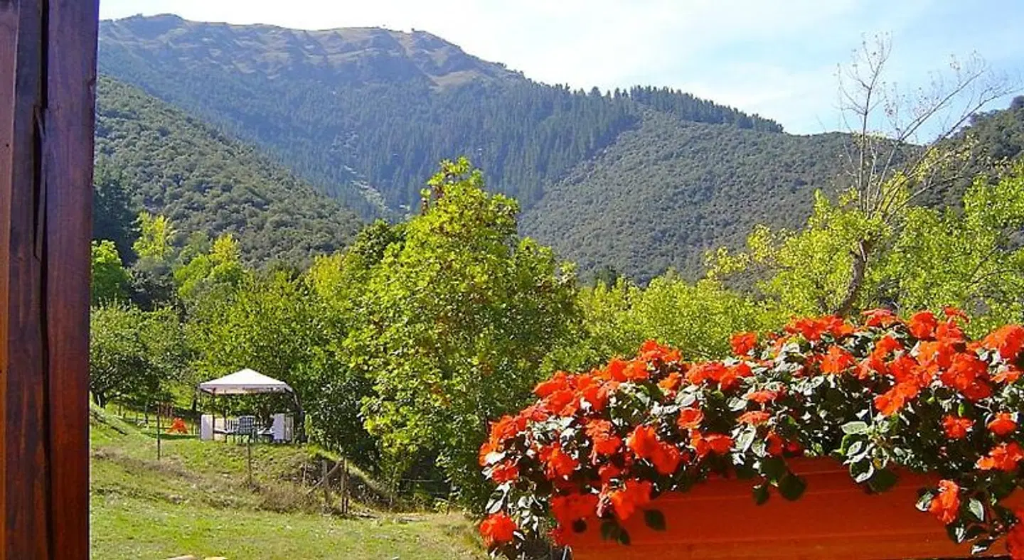 Posada El Bosque LANDSCAPE