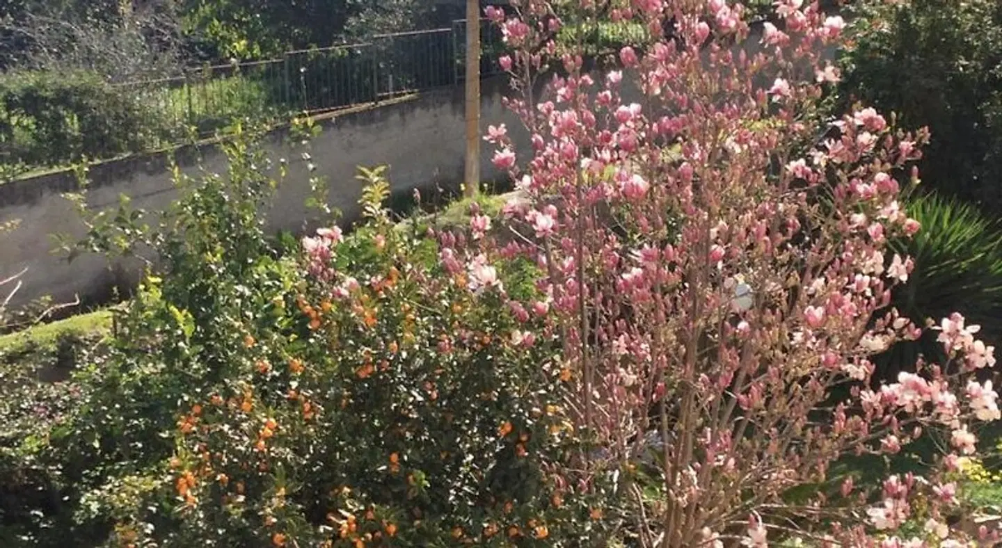 Villa Saturno Garten