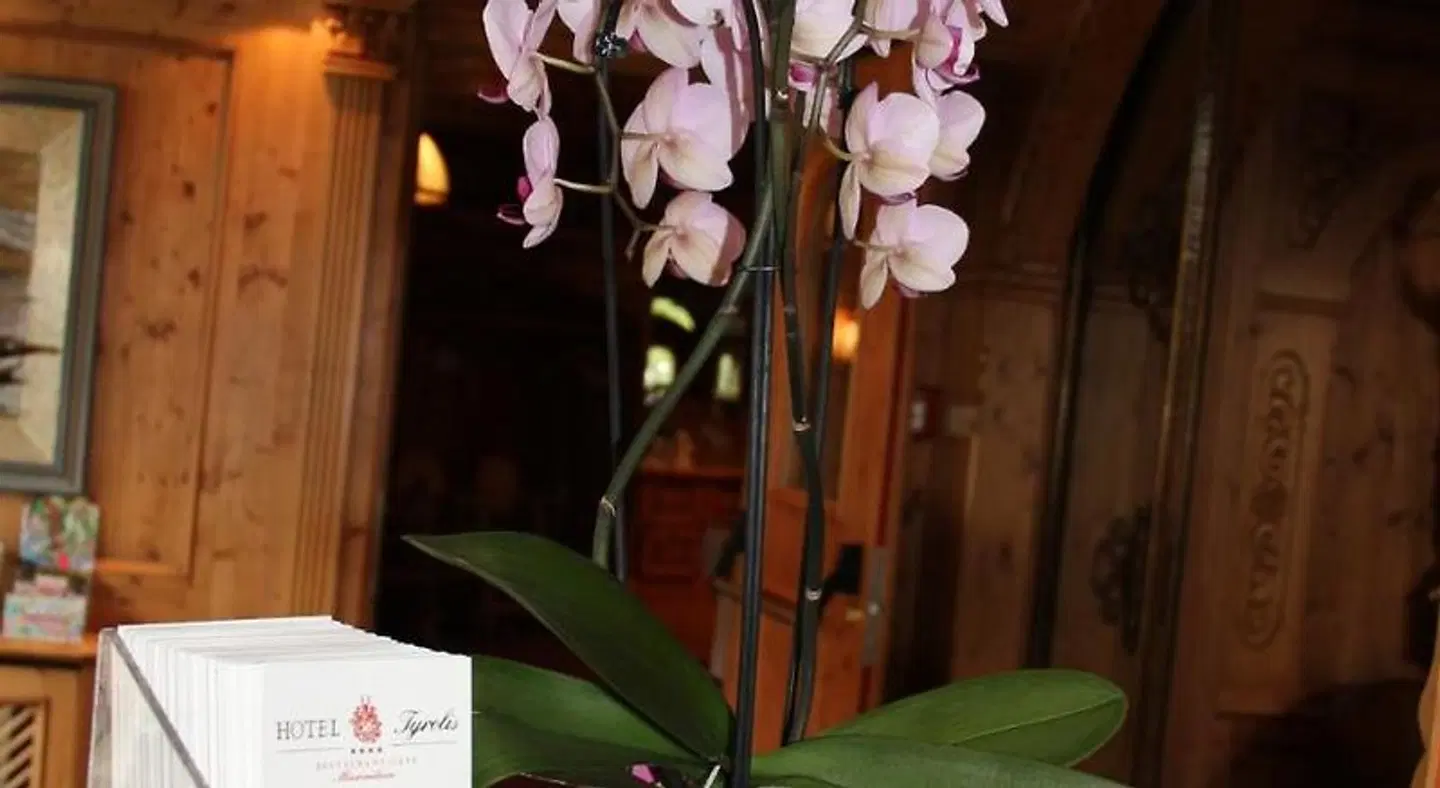 Tyrolis SPORTS_AND_LEISURE