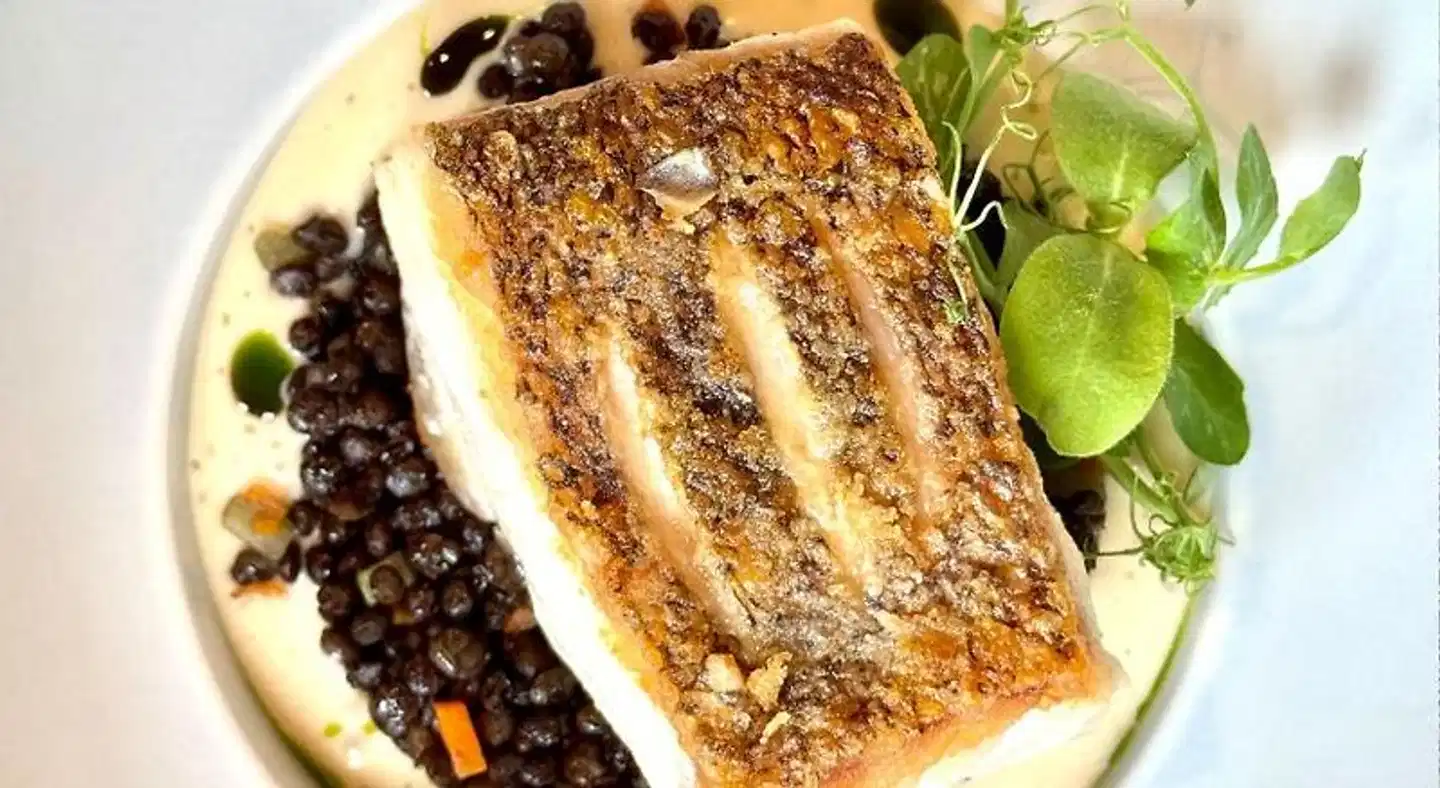 Prinzhotel Rothenburg Tiere