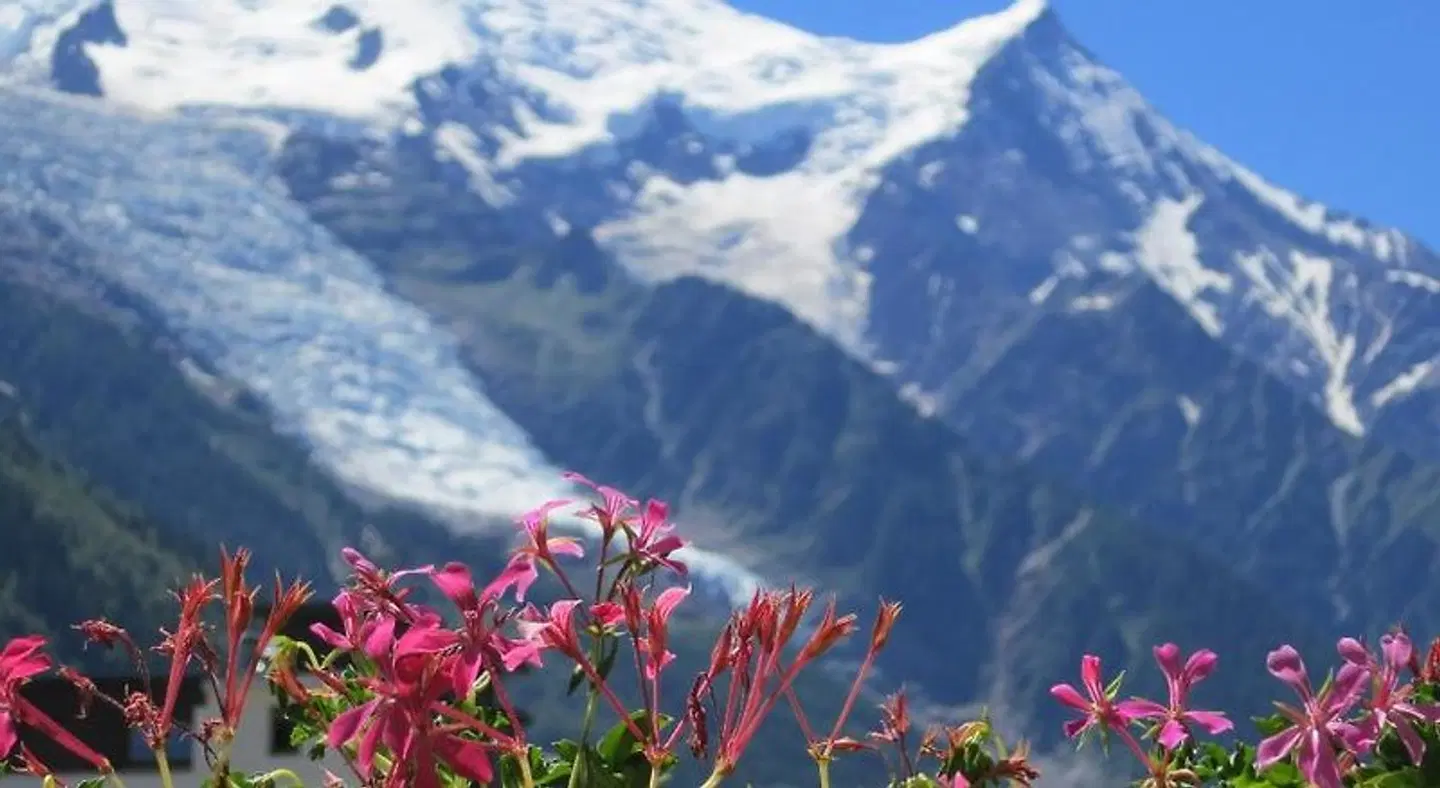 Appart'Hôtel le Génépy LANDSCAPE
