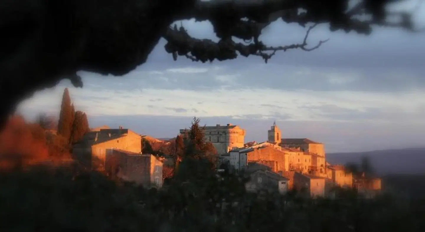Mas Des Romarins LANDSCAPE