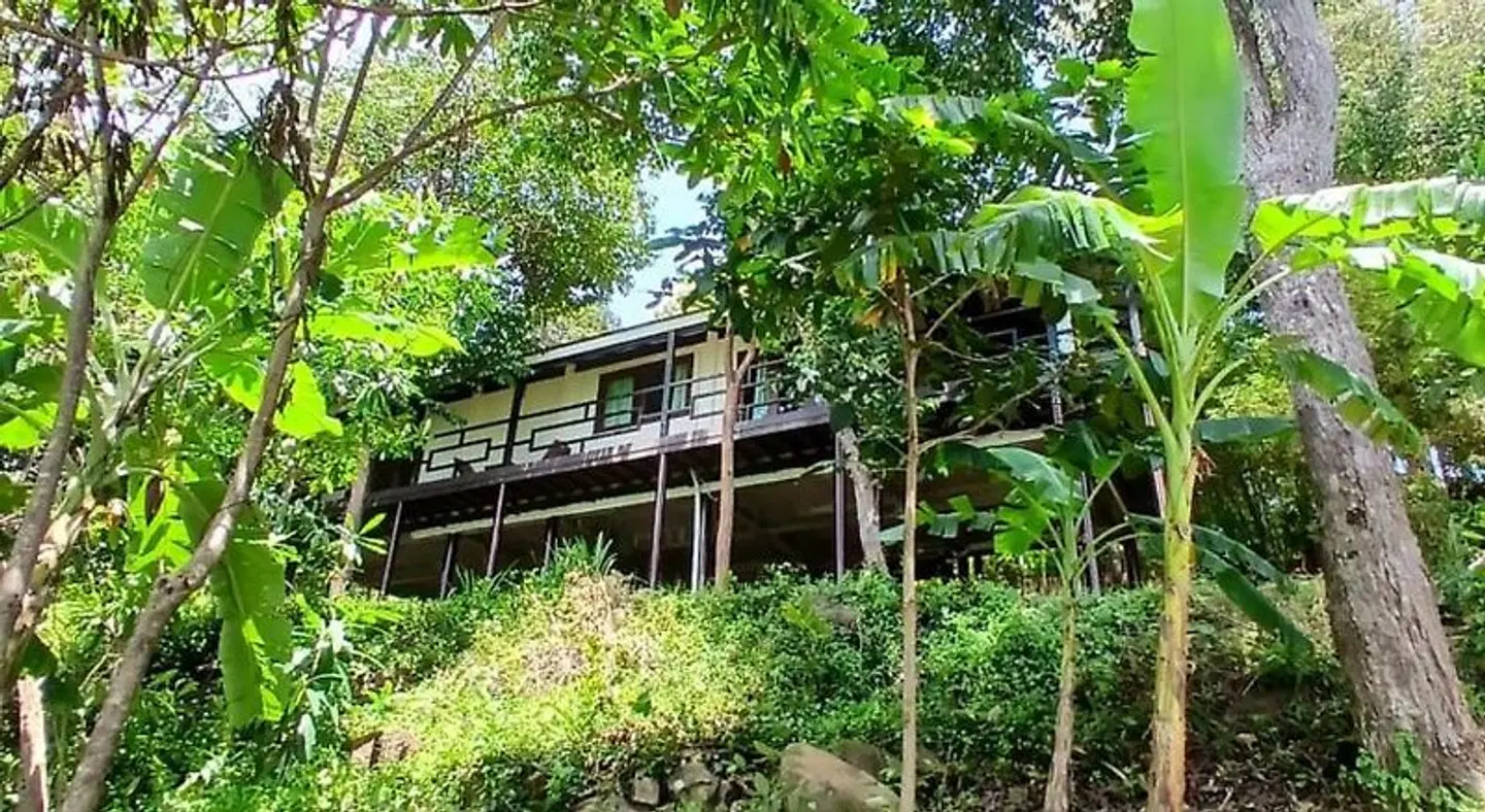 Jasmin Garden Koh Kood Garten