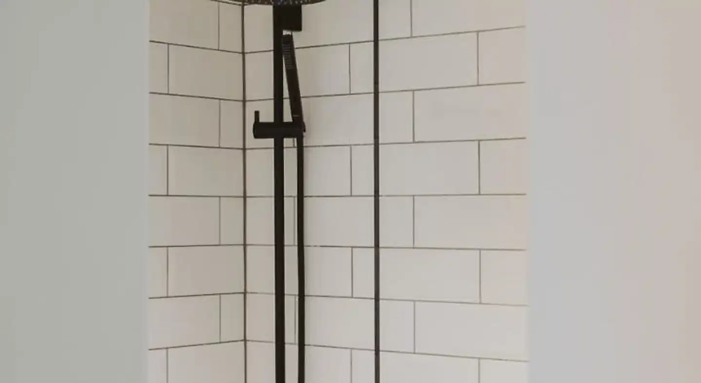 Hirschen Modellaufnahme