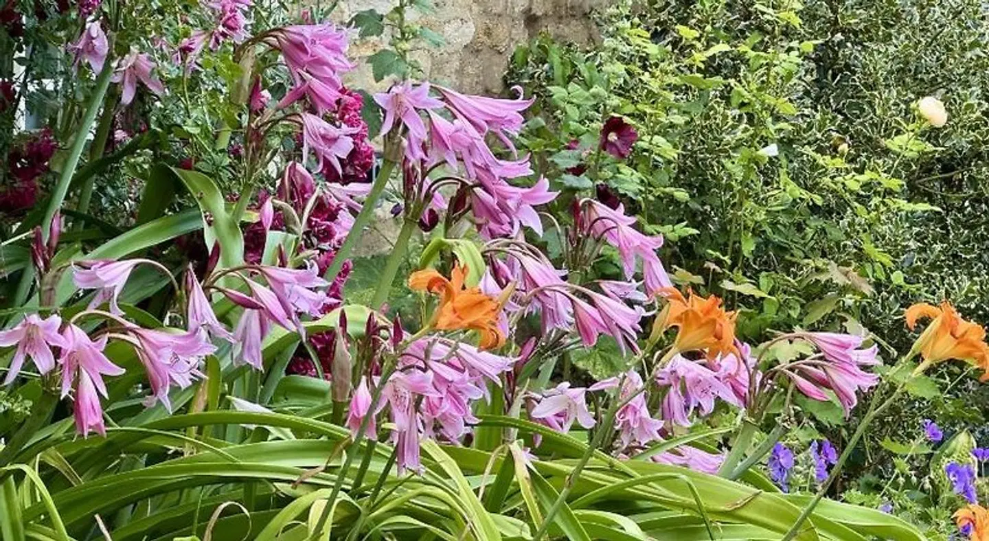 The Guiting Guest House LANDSCAPE