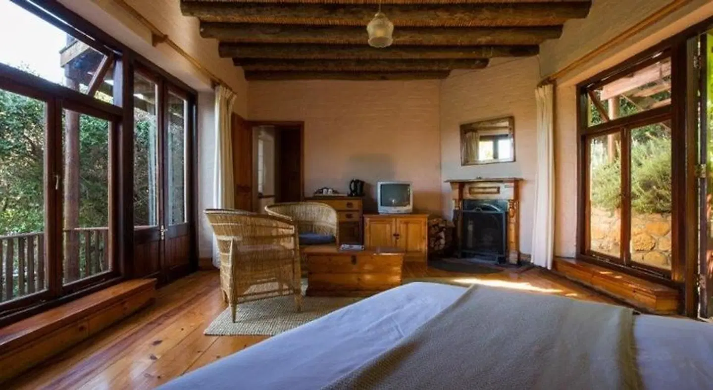 Monkey Valley ROOM_EXAMPLE