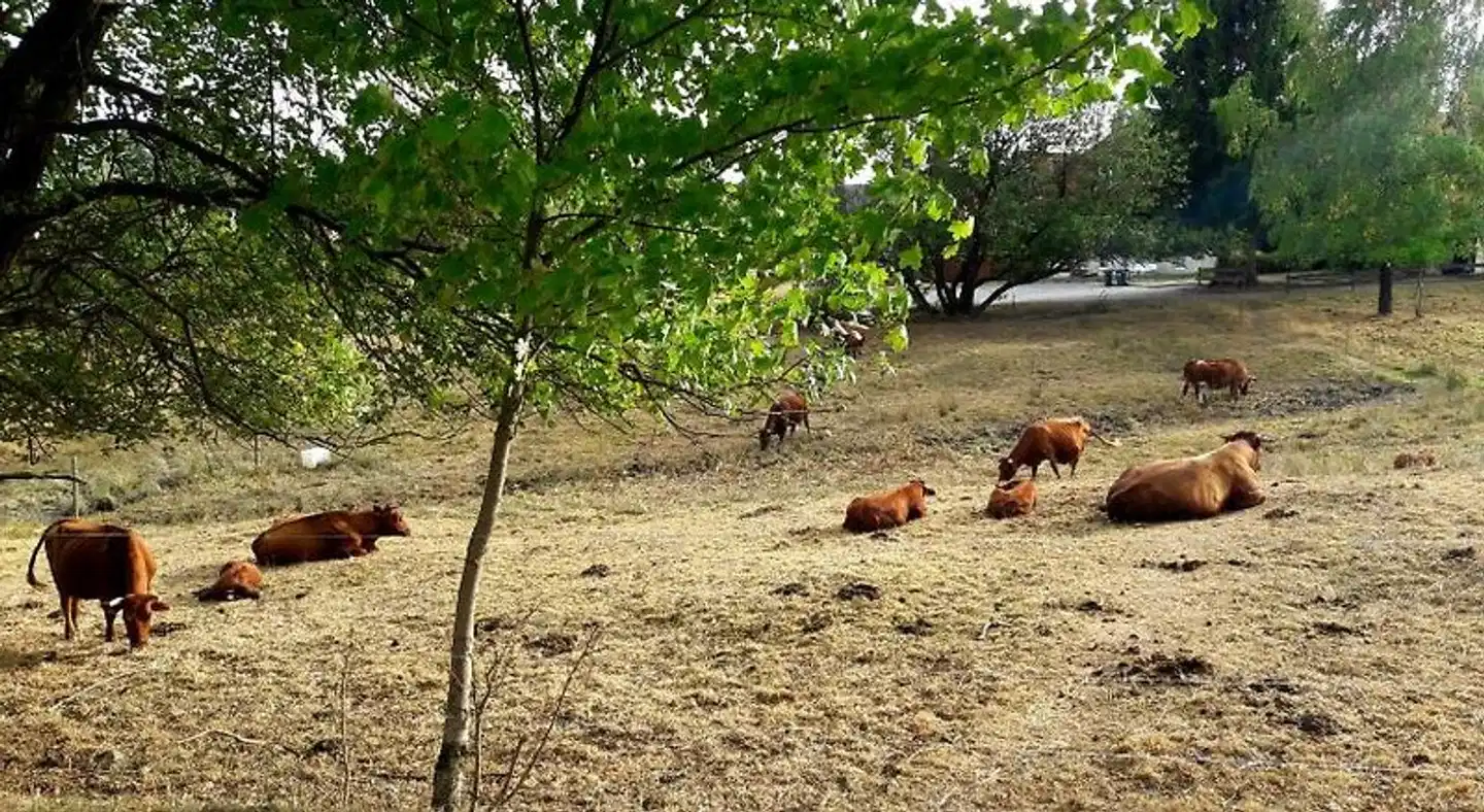 Hotel garni Am Hochwald Sport und Entertainment