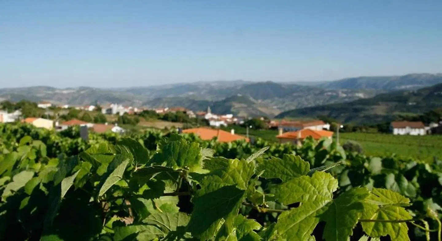 Quinta Manhas Douro Strand