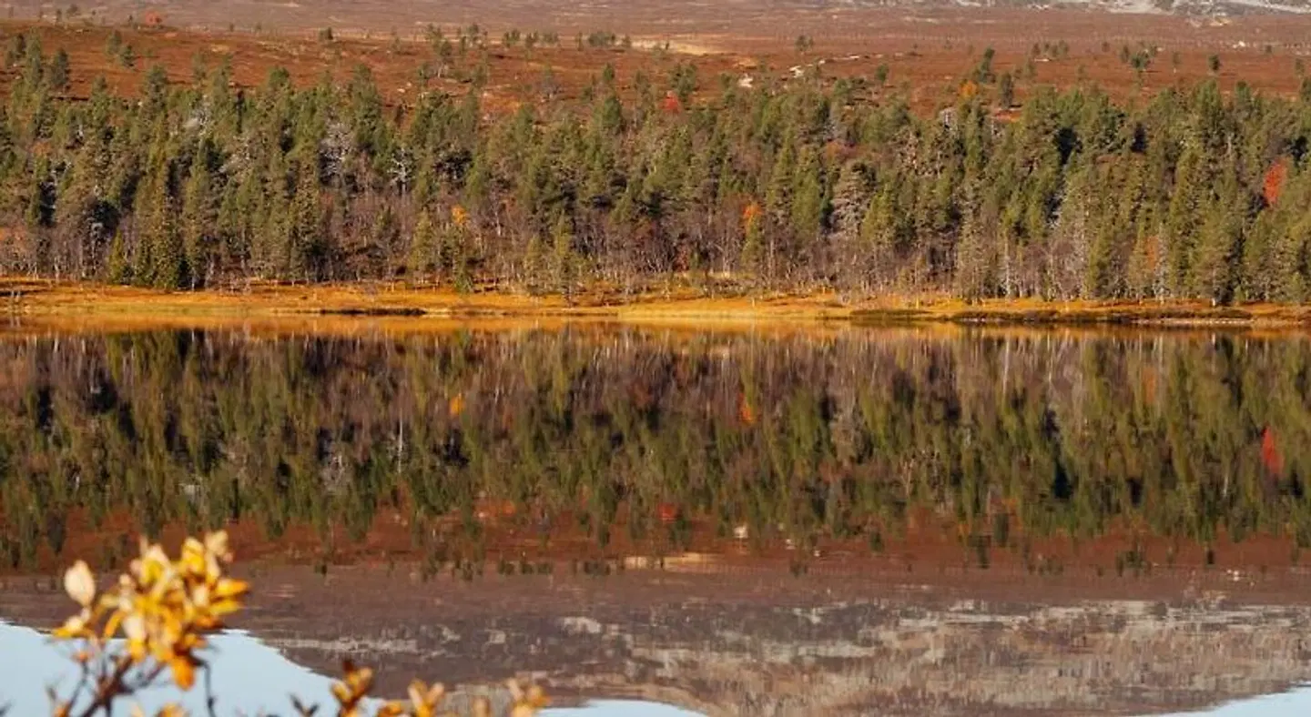 Lövåsgårdens Fjällhotell LANDSCAPE