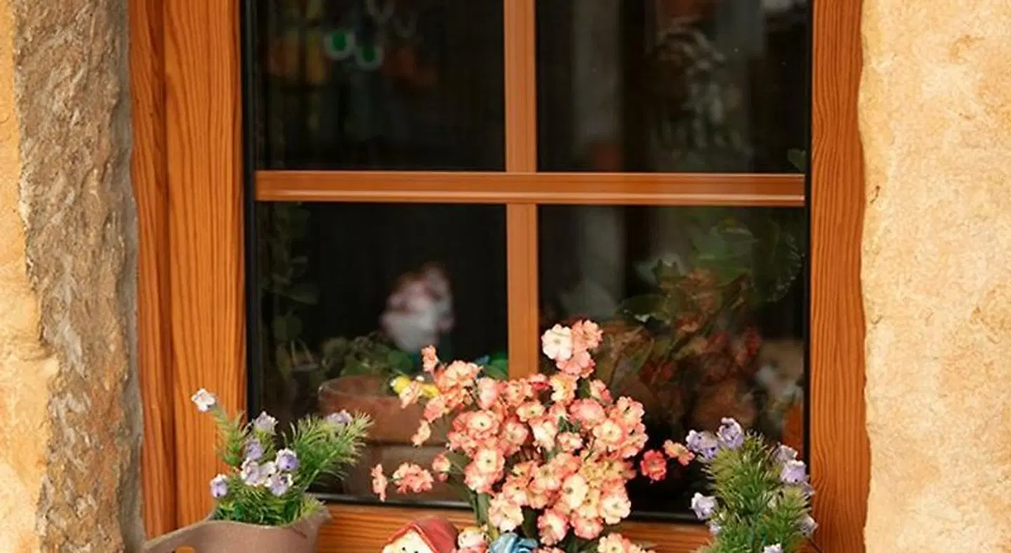 Posada La Herradura Terrasse