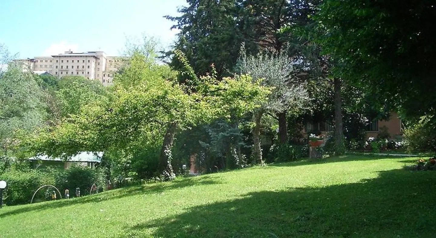 King Hotel Garten