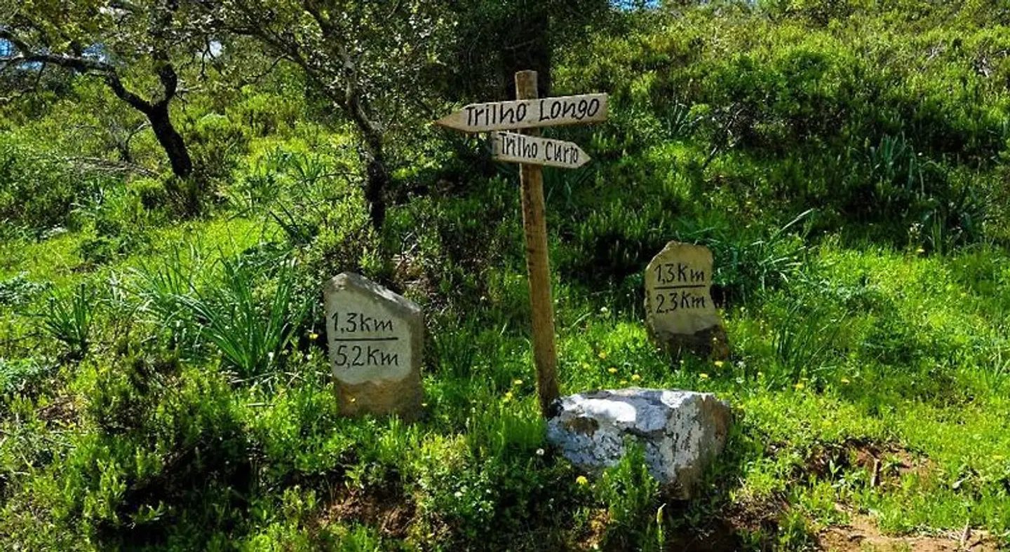 Monte do Alento - Castro da Cola Garten