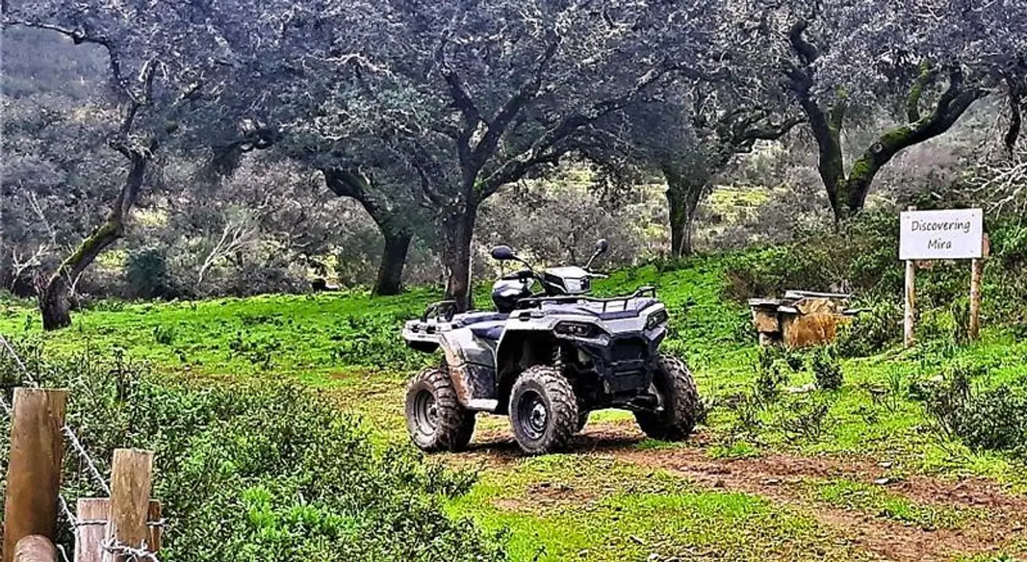 Monte do Alento - Castro da Cola Garten