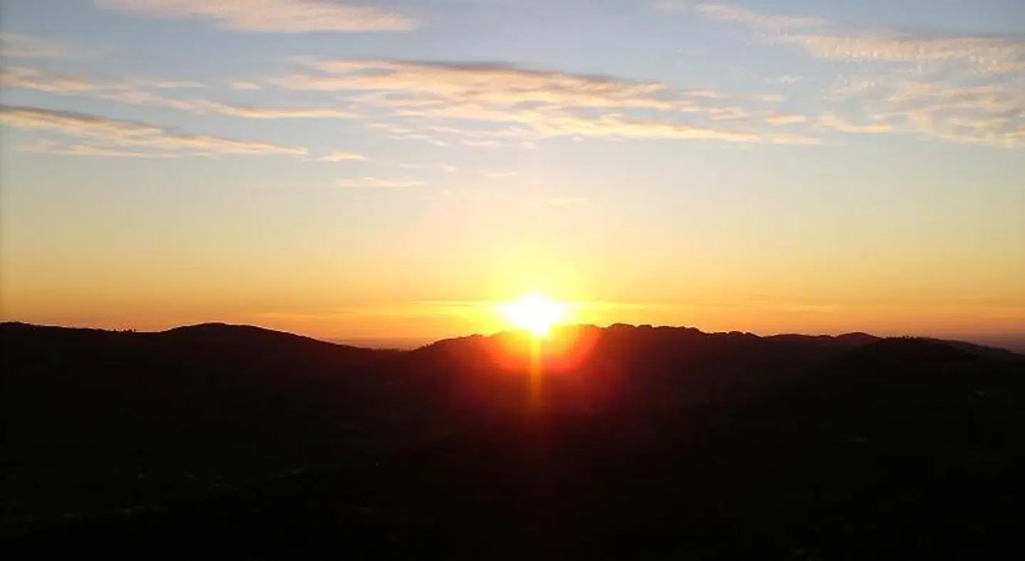 Casa da Arvore LANDSCAPE