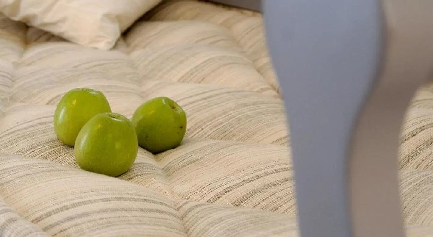 Kapetan Tasos Suites ROOM_EXAMPLE