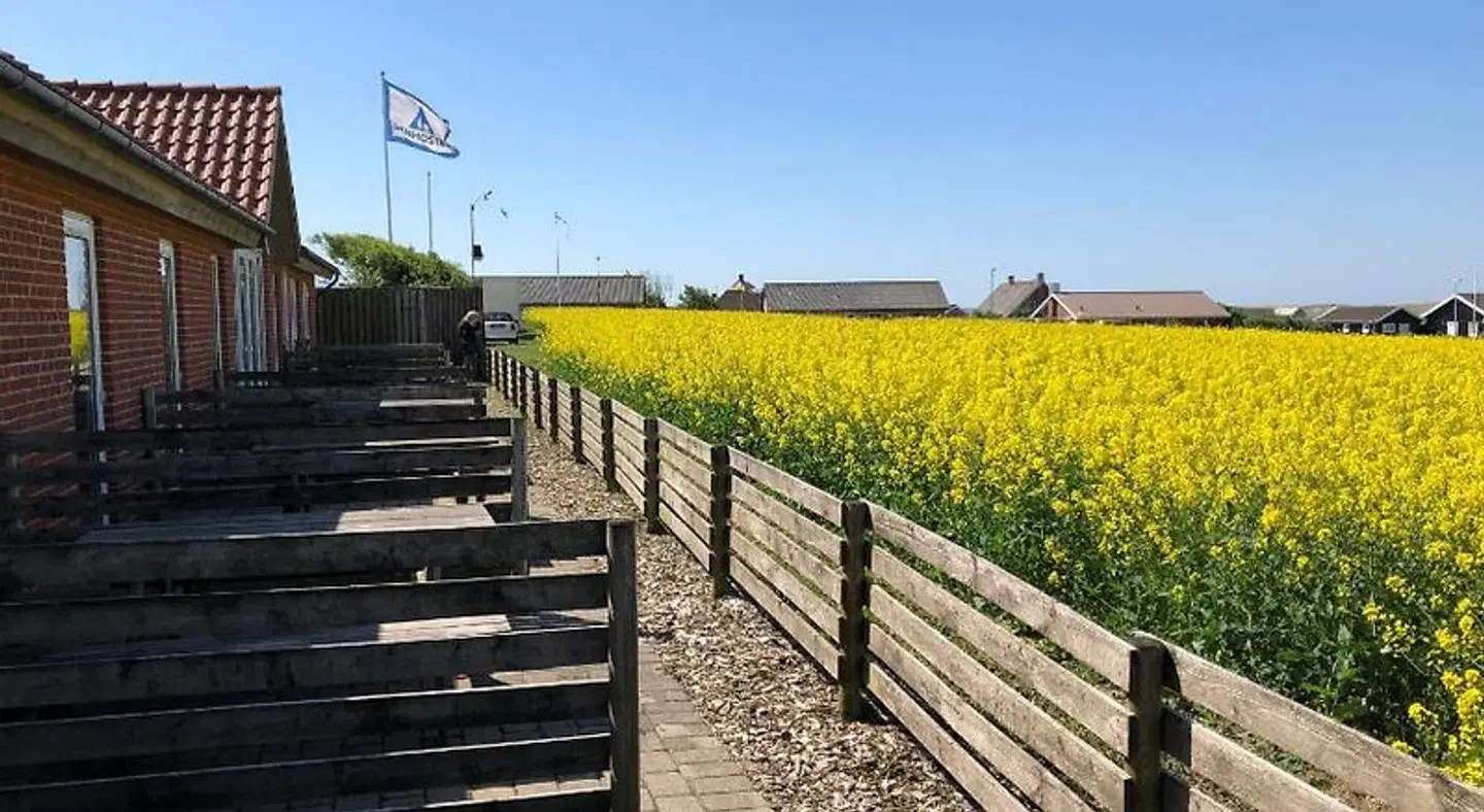 Danhostel Fjaltring LANDSCAPE
