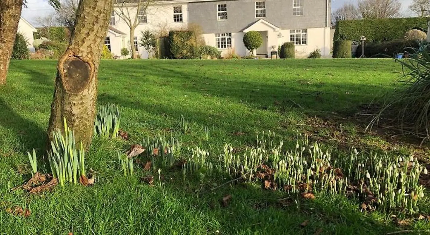 Treweens Bed & Breakfast Garten