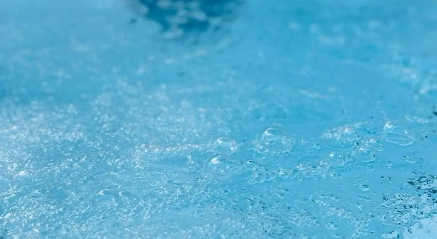 Sneaton Castle Centre LANDSCAPE